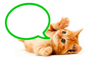 Plan PrevenSalud para gatos