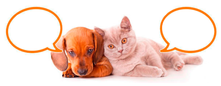 Chequeo anual completo para perros y gatos