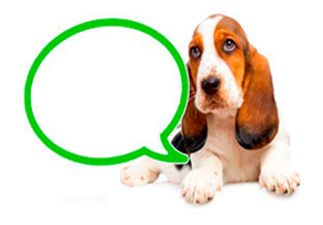 Plan PrevenSalud para perros